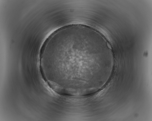 X0000091481076200708161414