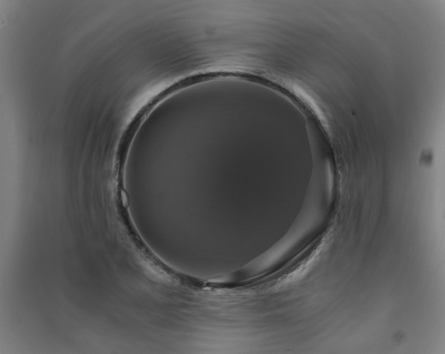 X0000091481077200708161414