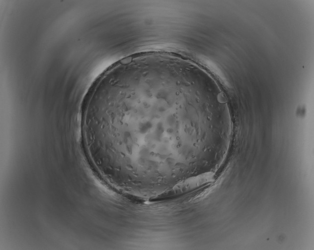 X0000091481079200708161414