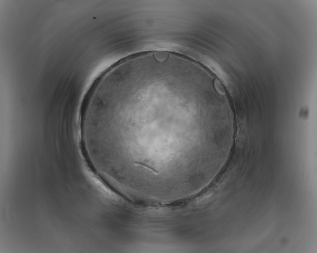 X0000091481080200708161414