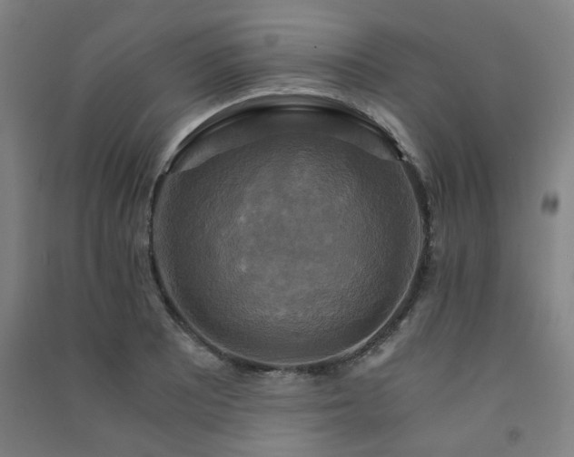 X0000091481081200708161414