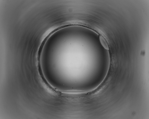 X0000091481082200708161414