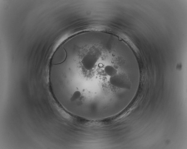 X0000091481083200708161414