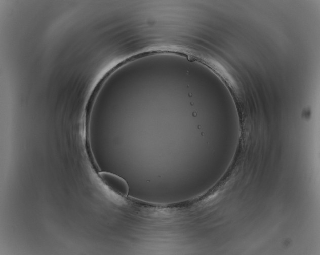 X0000091481084200708161414