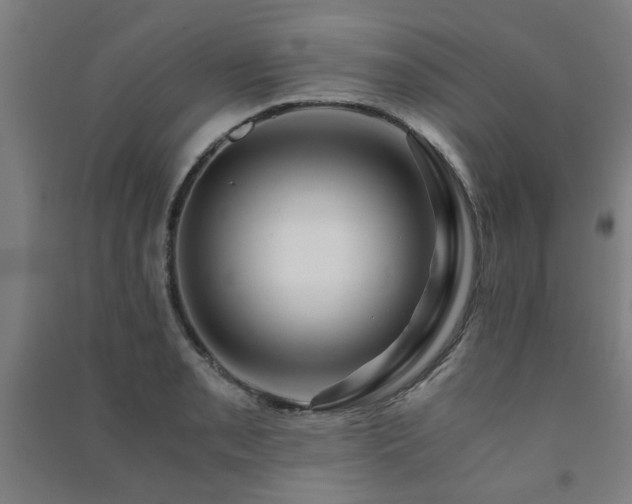X0000091481085200708161414