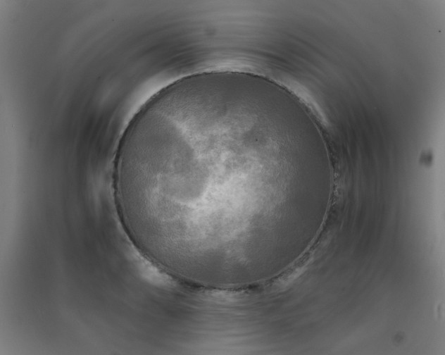 X0000091481086200708161414