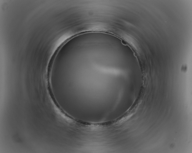 X0000091481087200708161414