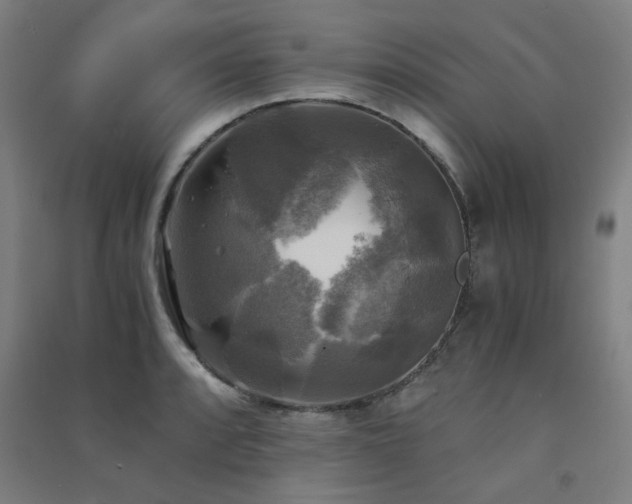 X0000091481088200708161414