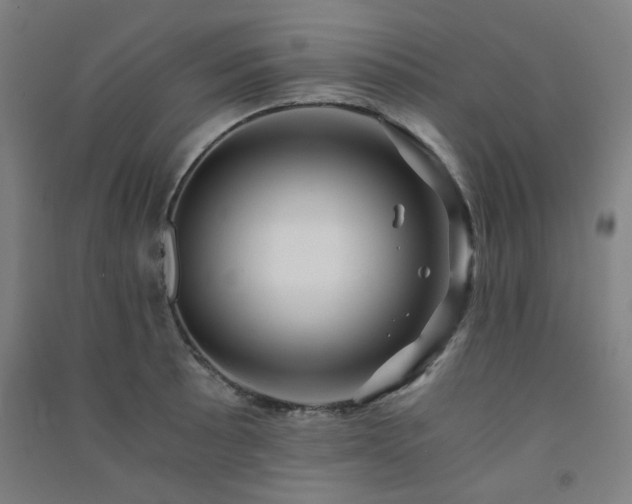 X0000091481089200708161414
