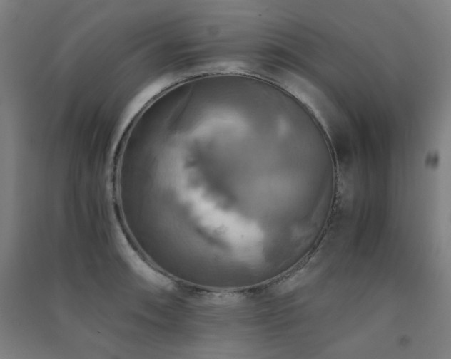X0000091481090200708161414