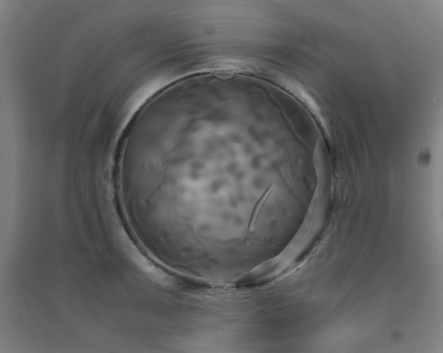 X0000091481091200708161414