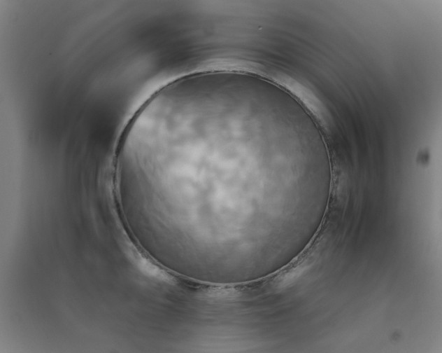 X0000091481094200708161414
