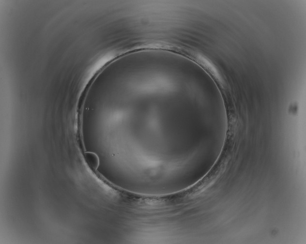 X0000091481095200708161414