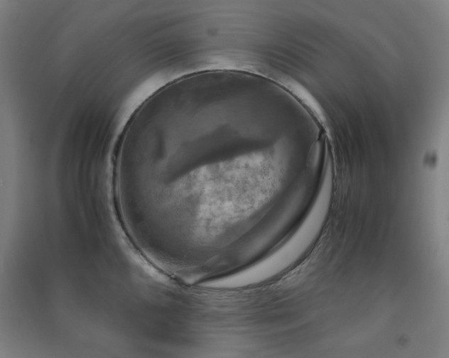 X0000091481096200708161414