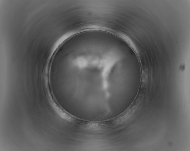 X0000091481098200708161414