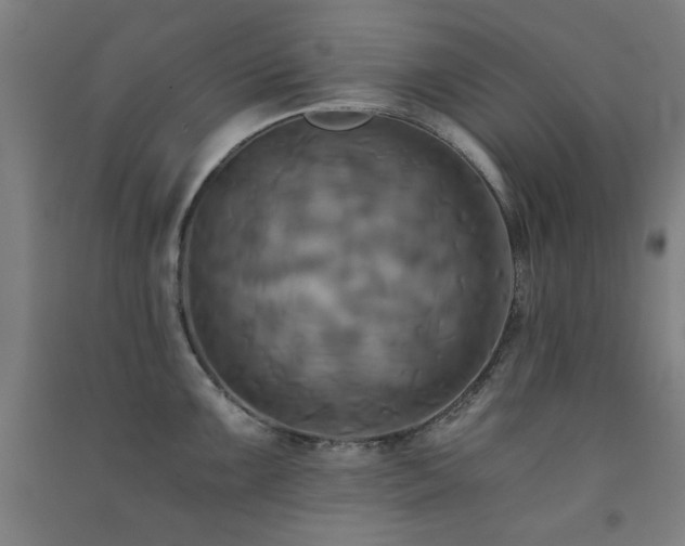 X0000091481099200708161414