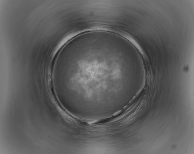 X0000091481101200708161414