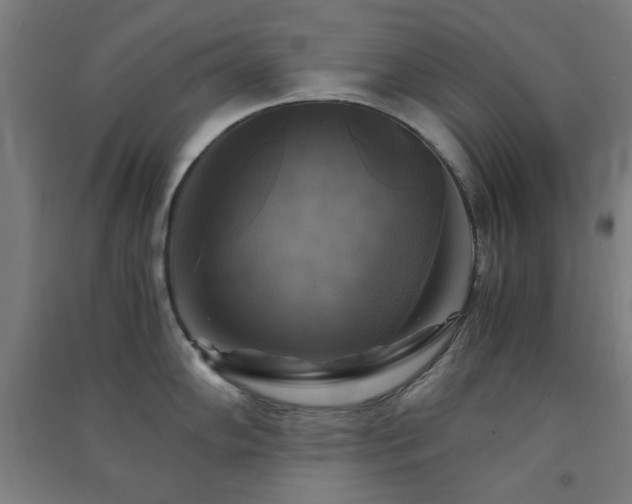 X0000091481102200708161414