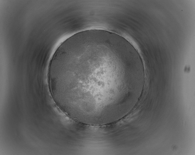 X0000091481104200708161414