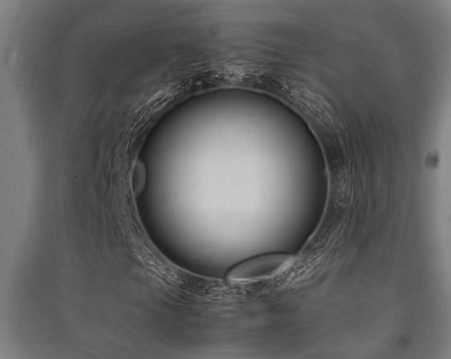 X0000091481105200708161413