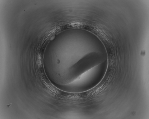 X0000091481106200708161413