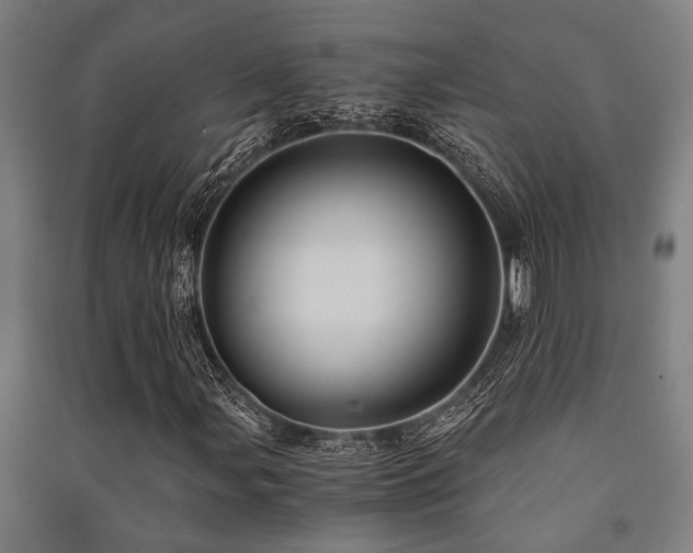 X0000091481107200708161413