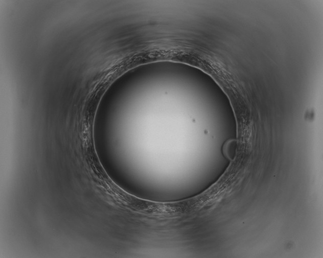 X0000091481109200708161413