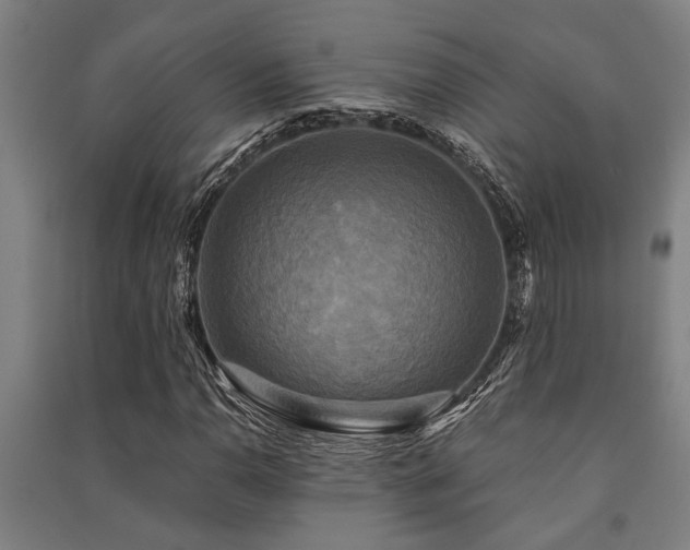 X0000091481110200708161413