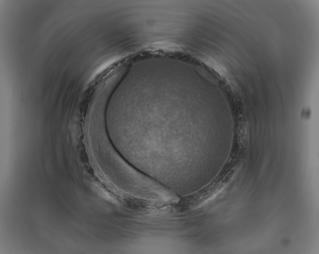 X0000091481112200708161413