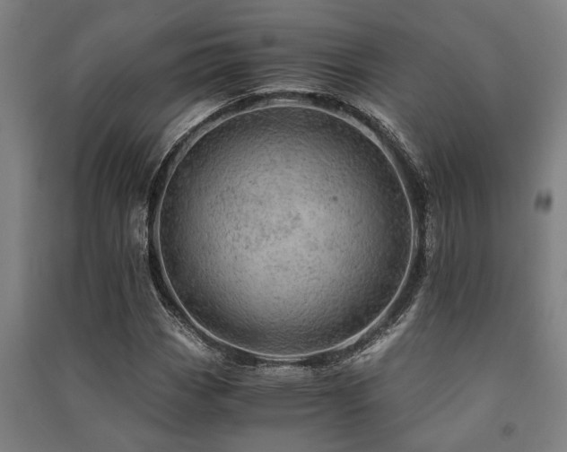 X0000091481113200708161413