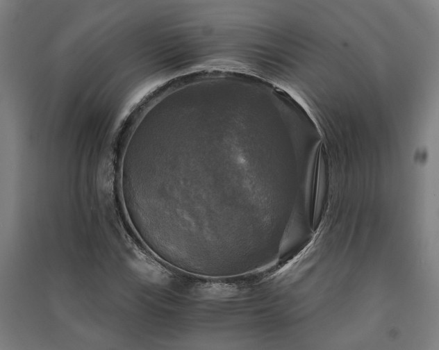 X0000091481115200708161413