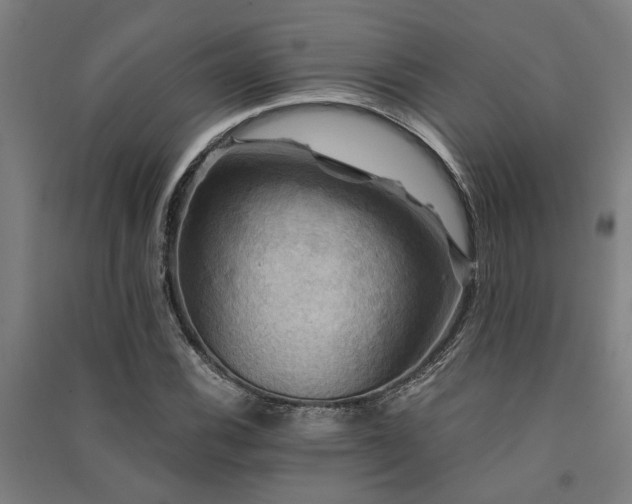 X0000091481116200708161413