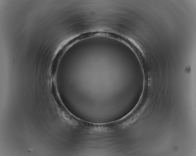 X0000091481117200708161413