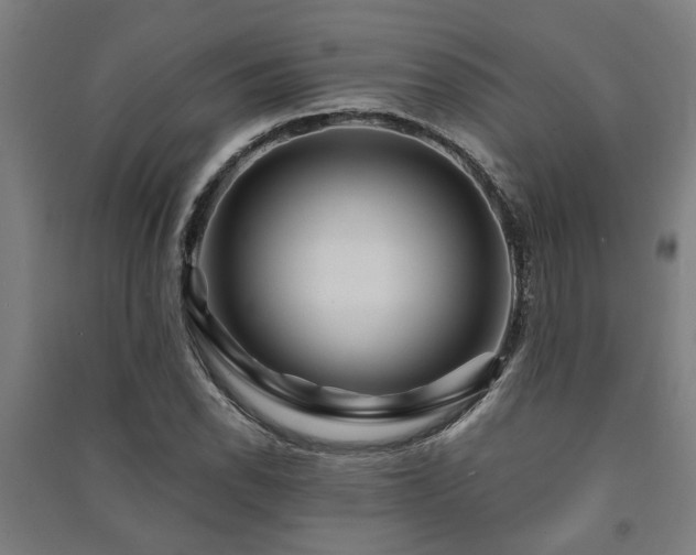 X0000091481118200708161413