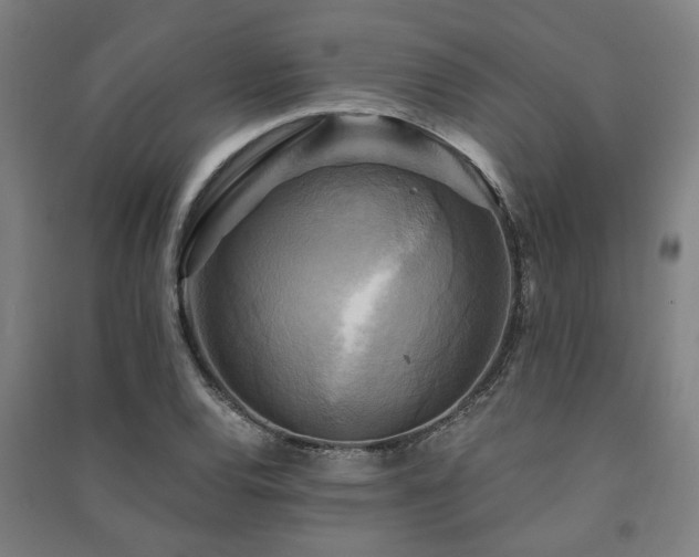 X0000091481120200708161413