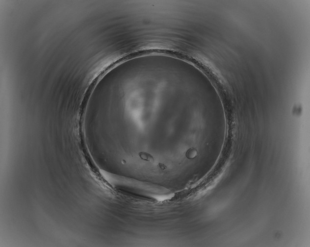 X0000091481121200708161413