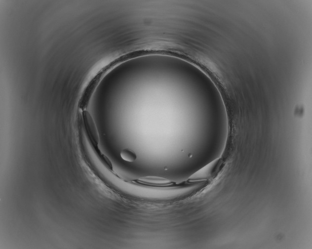 X0000091481122200708161413