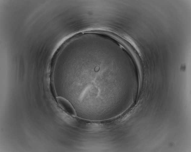 X0000091481124200708161413