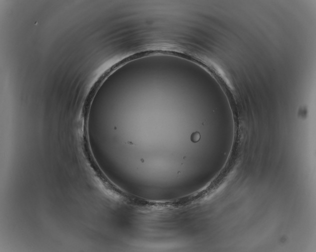 X0000091481125200708161413
