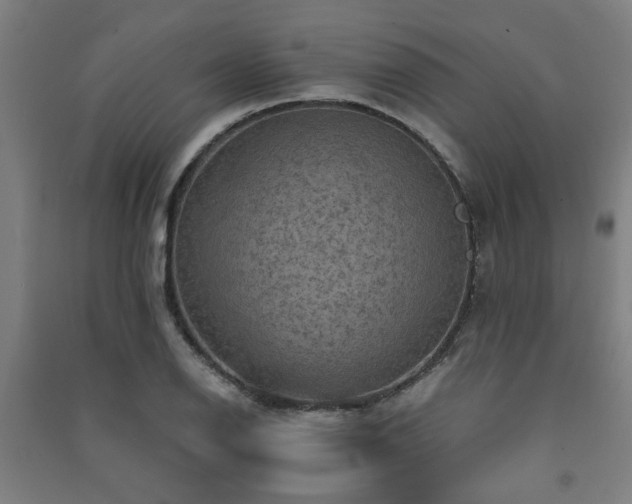 X0000091481126200708161413