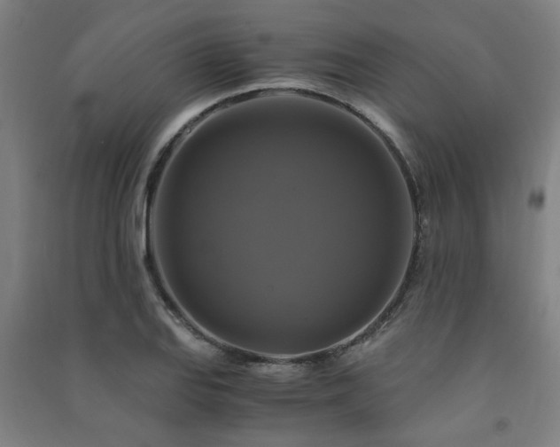 X0000091481127200708161413