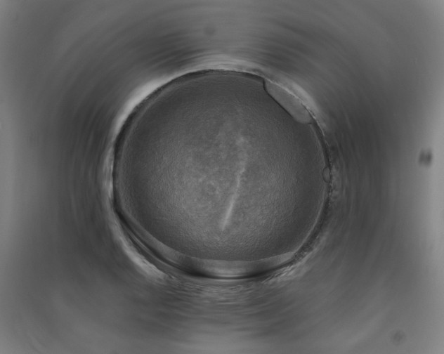 X0000091481128200708161413