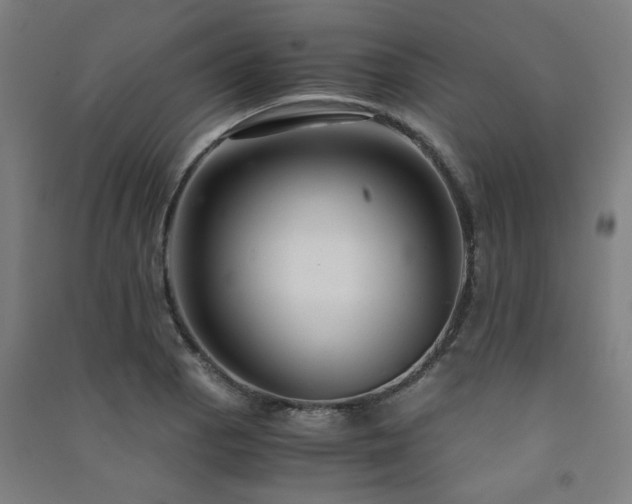 X0000091481129200708161413