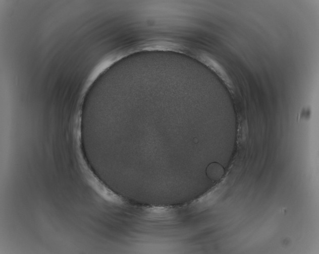 X0000091481130200708161413