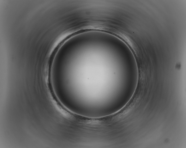X0000091481131200708161413