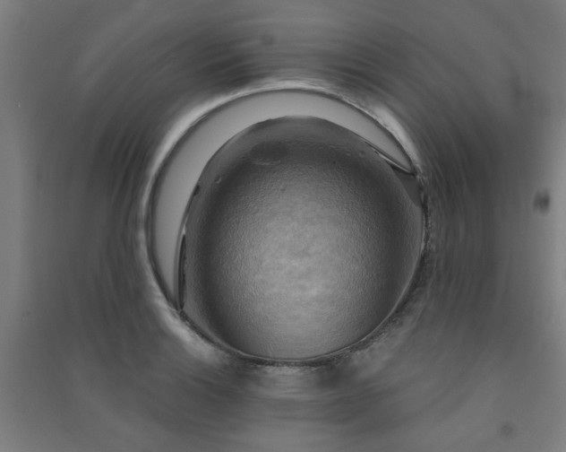 X0000091481132200708161413