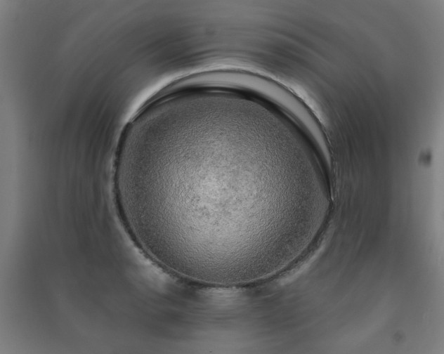 X0000091481134200708161413