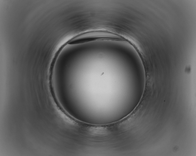 X0000091481135200708161413