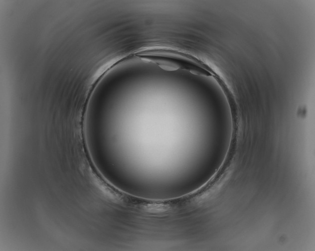X0000091481137200708161413