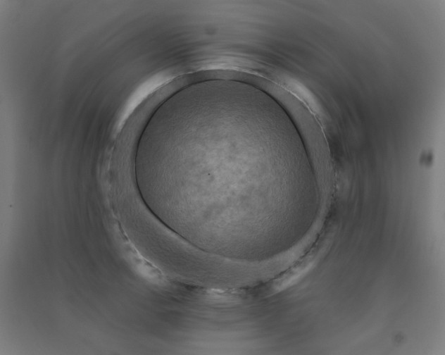 X0000091481138200708161413